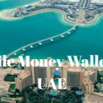 Diigtal Wallets in UAE